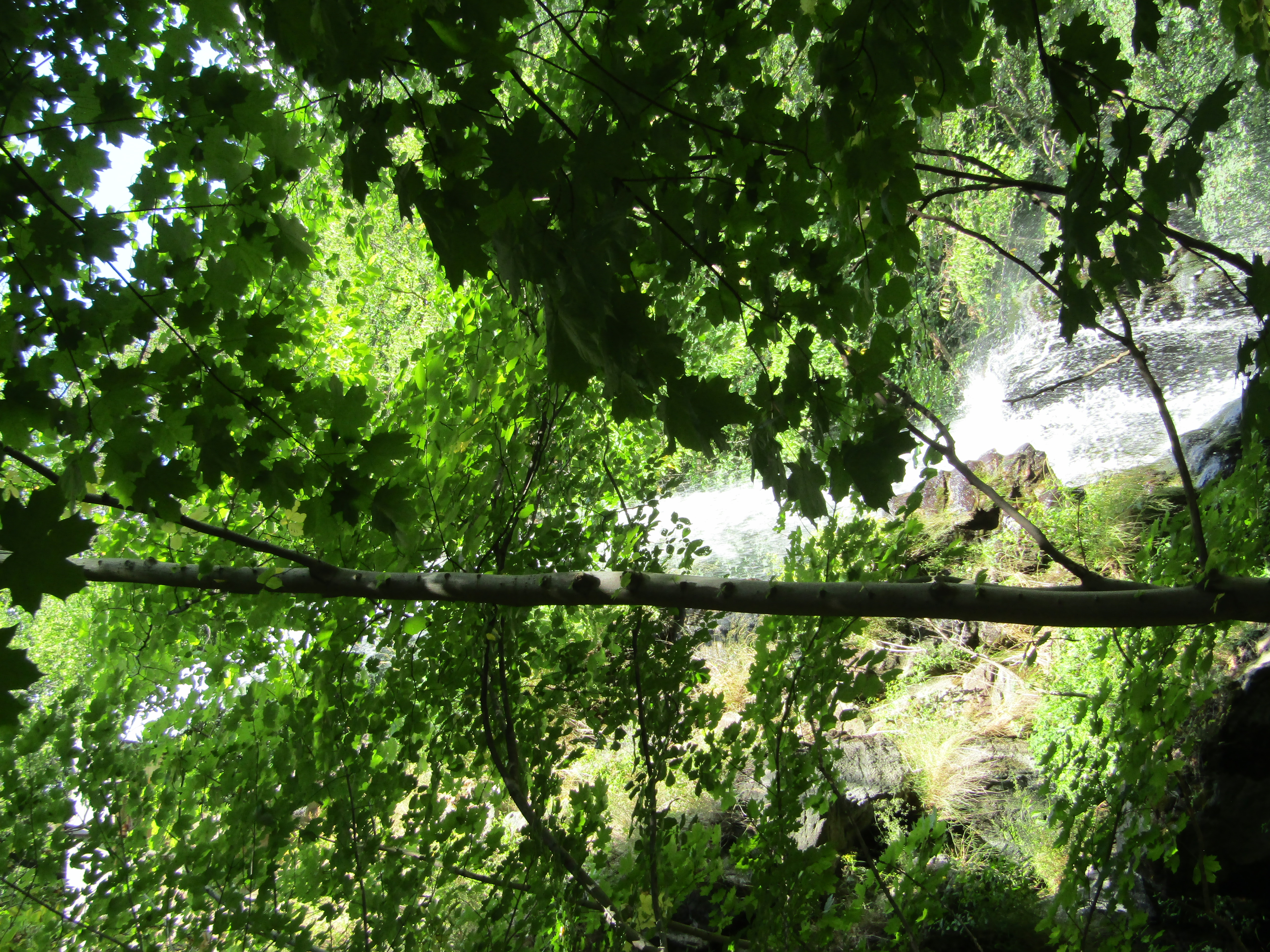 _galerie/Natur/Wasserfall_1.JPG